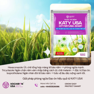 🔥 Lúa khỏe, bông chắc, không lo Đạo Ôn! 🔥  Bệnh Đạo ôn lá & cổ bông có thể làm thất thu tới 30–50%.