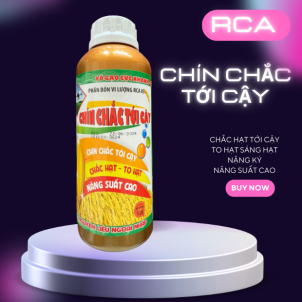 🌾 CHÍN CHẮC TỚI CÂY – VÔ GẠO CỰC MẠNH, TĂNG NĂNG SUẤT! 🌾