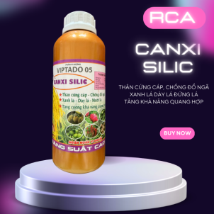 🌿 CANXI SILIC RCA – TĂNG CƯỜNG ĐỘ CỨNG CÂY, CHỐNG ĐỔ NGÃ! 🌿