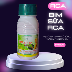 🌾 BIM SỮA RCA – Đặc trị đạo ôn, bảo vệ mùa màng tối đa! 🌾