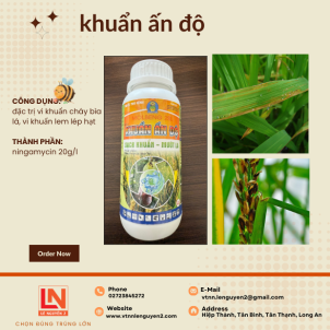 🔥 KHUẨN ẤN ĐỘ – GIẢI PHÁP DIỆT VI KHUẨN, BẢO VỆ CÂY TRỒNG HIỆU QUẢ! 🌿