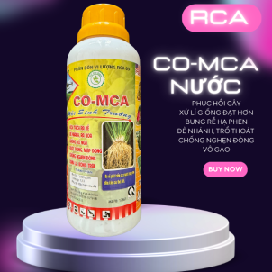  CO-MCA NƯỚC BUNG RỄ ĐẺ NHÁNH VÔ GẠO
