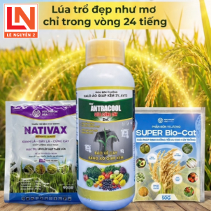 MẬP ĐỒNG - TRỔ THOÁT THẦN TỐC SAU 24 GIỜ!