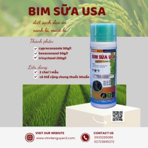 BIM SỮA USA
