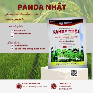 PANDA NHẬT